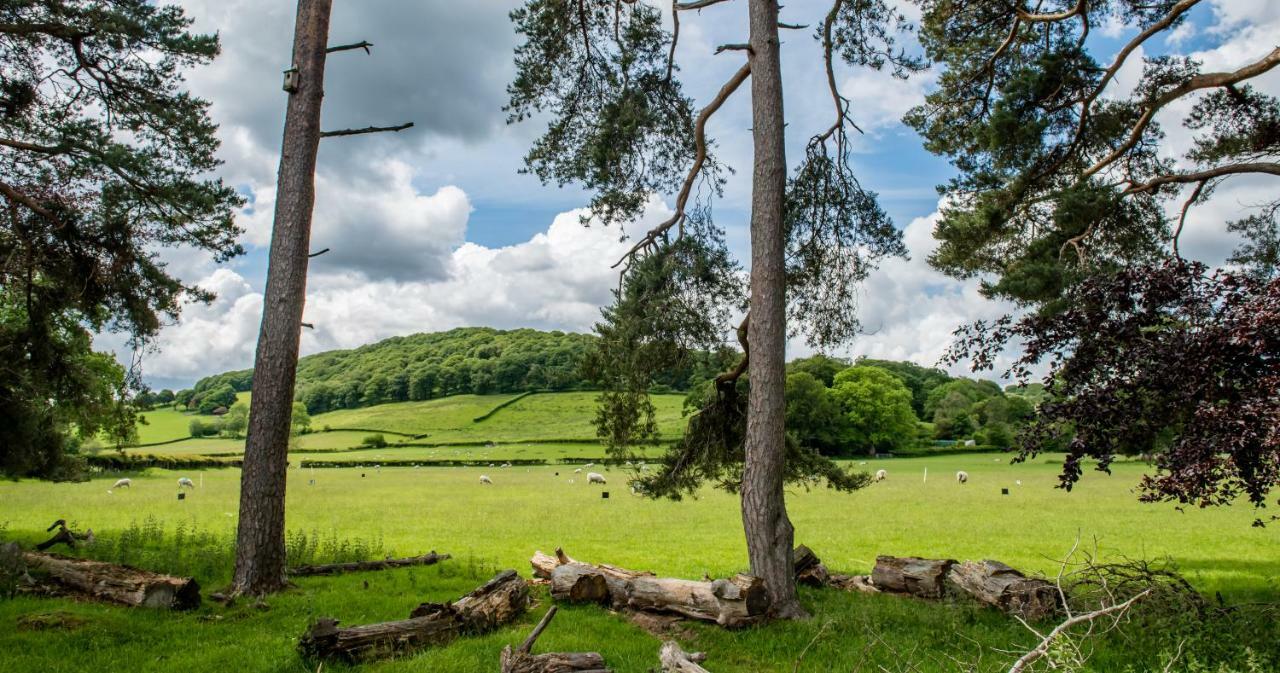 Swn Y Coed Bed and Breakfast Llanwrtyd Wells Εξωτερικό φωτογραφία